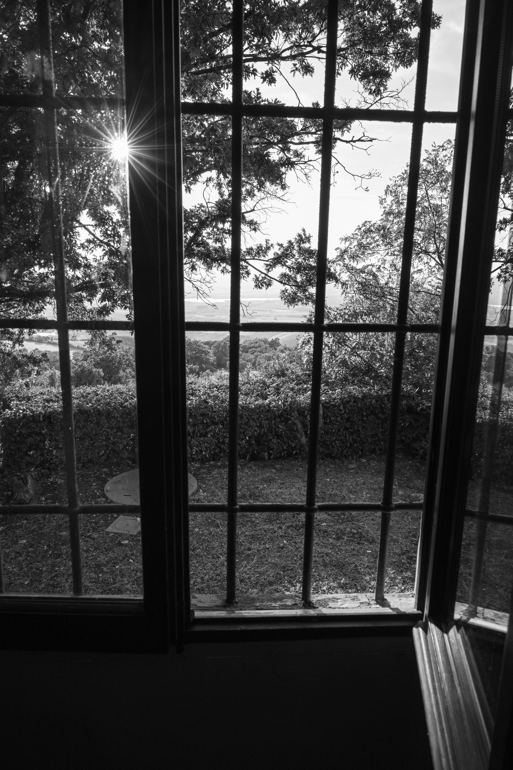 Fensterblick mit Gegenlicht und Bäumen