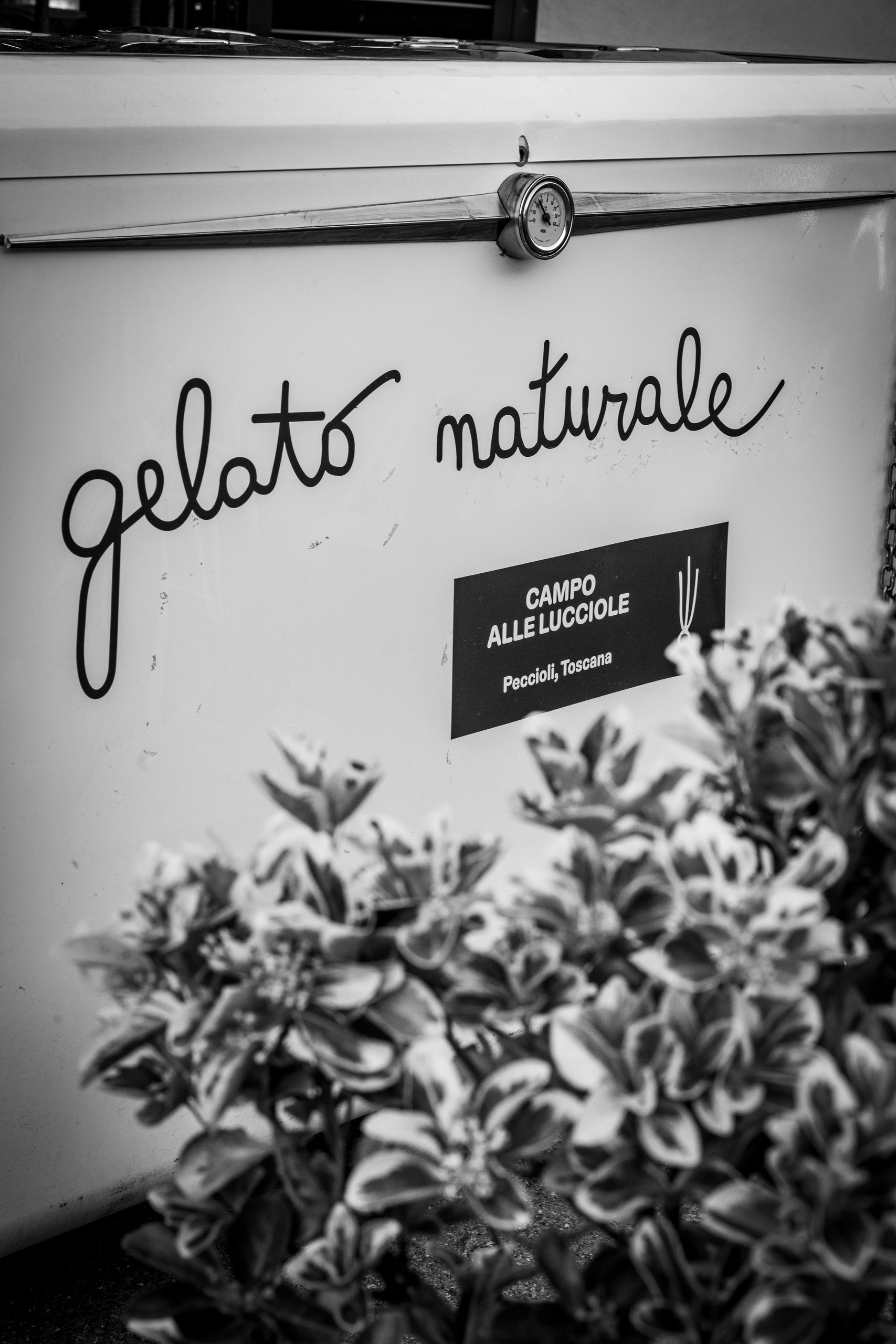 Gelato naturale – Eistruhe mit Schriftzug